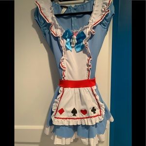 Alice in Wonderland Halloween Costume/accessories